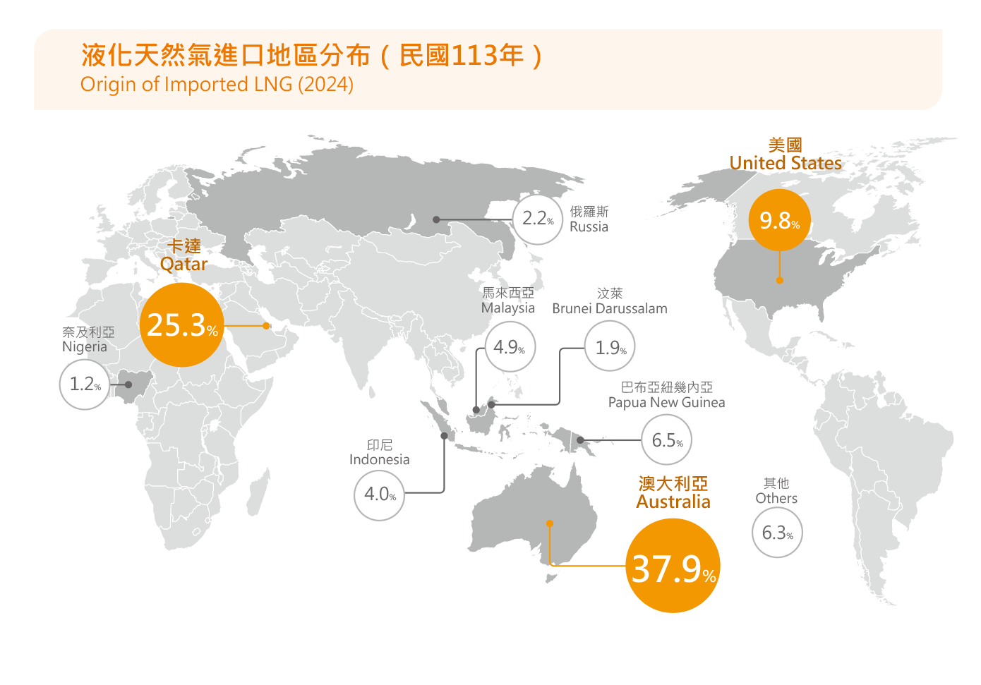 113年液化天然氣進口地區分布