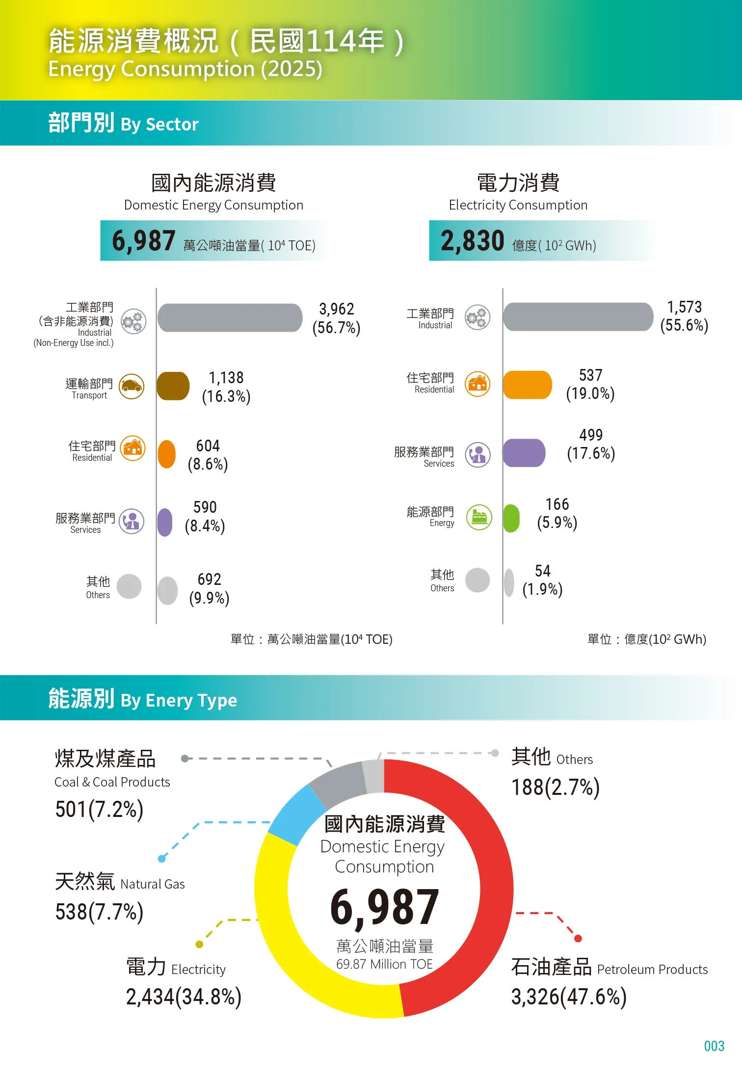 國內能源消費