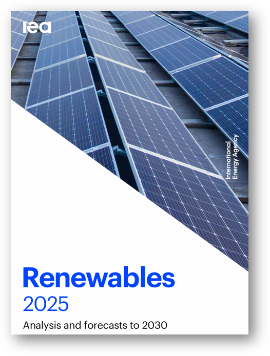 《2025年再生能源報告》報告封面